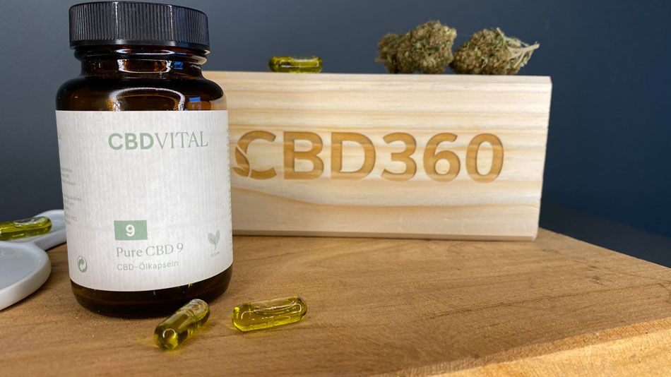 CBD Kapseln Test: Die 5 Besten CBD Kapseln [2024]