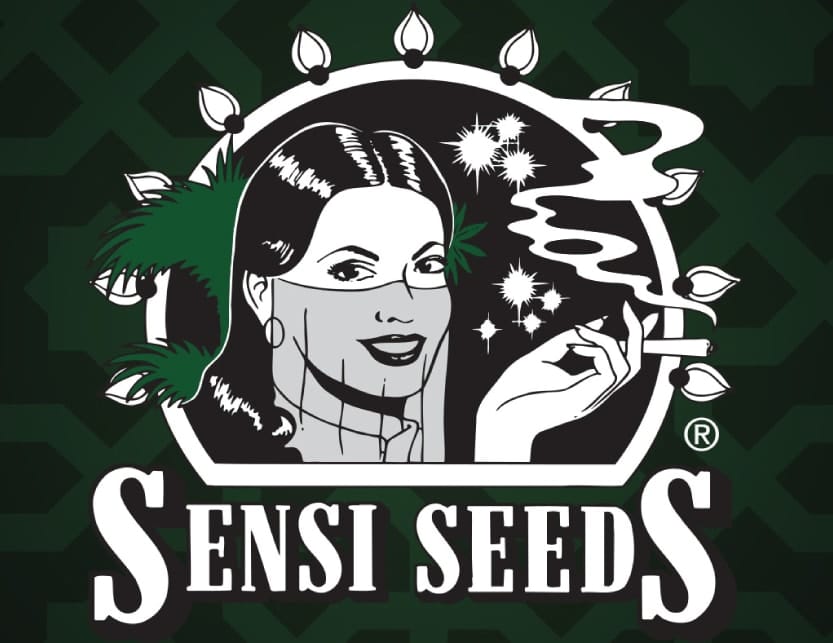 Sensi Seeds Erfahrungen: CBD Öl, Liquids & Co Im Test [2024]